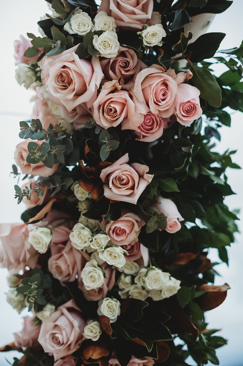 KNarborBlooms KNarborBlooms