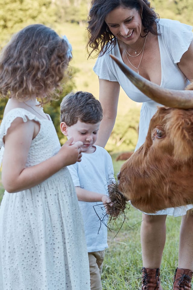 AndoRock.HighlandCows14 AndoRock Highlands | AndoRock.HighlandCows14